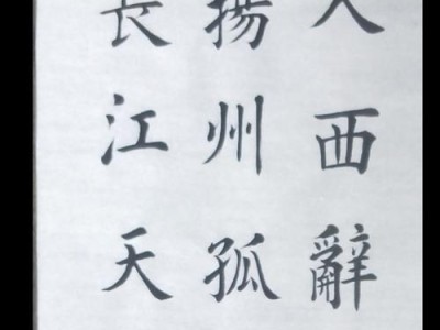 以名派手机怎么样？（探究以名派手机的性能、功能与用户体验）