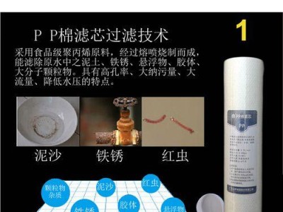 容声牌净水器的性能和使用效果评测（全面解析容声牌净水器的特点、过滤技术及用户体验）
