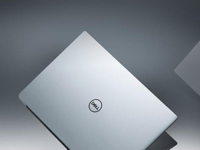 大白菜u启测试教程（深入了解大白菜u启测试工具，掌握测试技巧与方法）
