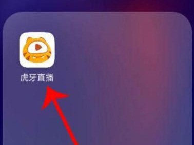 解决虎牙电脑安装出现net错误的方法（排查和修复虎牙电脑安装过程中出现的net错误）